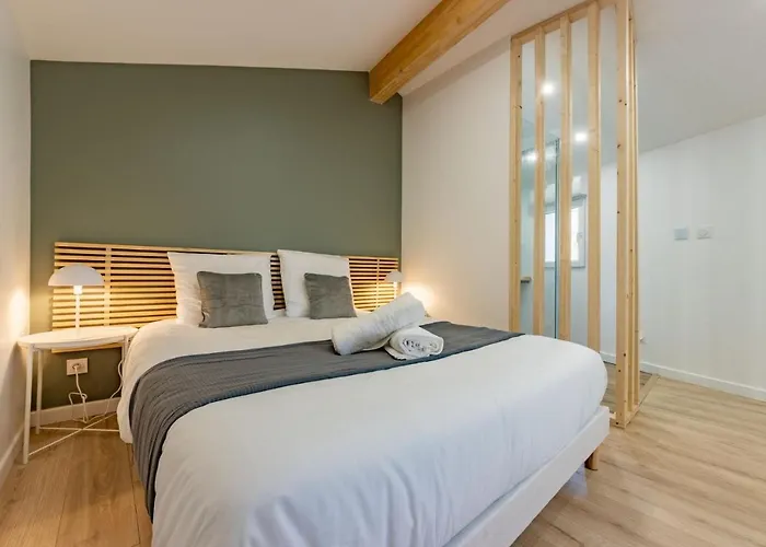 Apartmán Le Duplex - Clim - Parking - Netflix - Nestor & Margot *